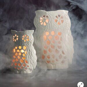 Francesca Kaye Anthropologie 11" x 8" Halloween Magic Owl Lantern